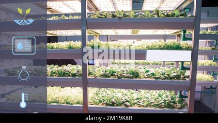 Hydroponics system. Vegetable grow with artificial LED lighting in indoor vertical gardening. Hydroponic illustration symbols. Stock Photo