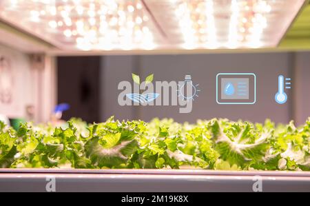 Hydroponics system. Vegetable grow with artificial LED lighting in indoor vertical gardening. Hydroponic illustration symbols. Stock Photo