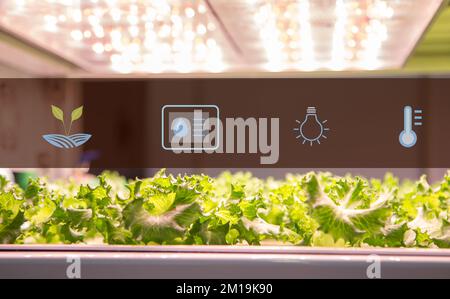 Hydroponics system. Vegetable grow with artificial LED lighting in indoor vertical gardening. Hydroponic illustration symbols. Stock Photo