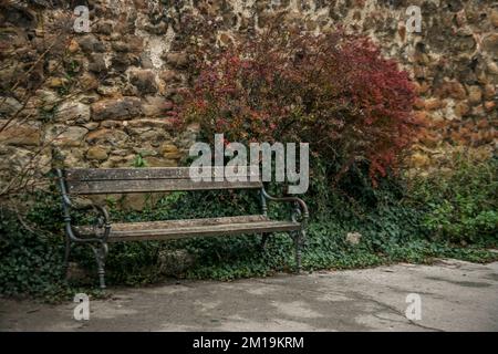 An old aged bench next to a grunge stone wall in the autumn Stock Photo