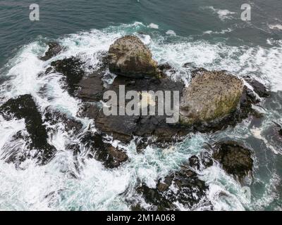 Aerial shot of the scenic birds rock at Punta de Lobos at Pichilemu, Chile Stock Photo