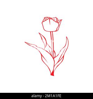 One line drawing a red rose vector template with a white background Stock Vector