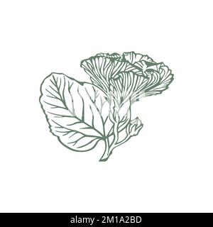 Vector design concepts Stock Vector