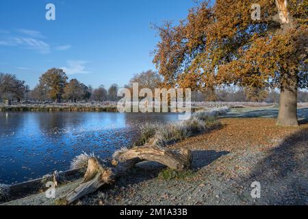 Surrey winter scene on a Cold frosty morning in December Stock Photo