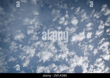 White altocumulus clouds, with sidelighting, against a blue sky; landscape orientation. Stock Photo