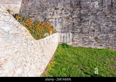 A gray cobbled stone wall with yellow flowers and green grass Stock Photo