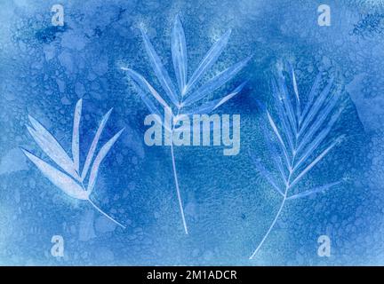 Miniature Palm Leaves on a Prussian blue background, cyanotype, alternative Photography Process Stock Photo