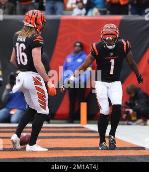 Cincinnati Bengals wide receiver Ja'Marr Chase (1) gestures for a first  down during an NFL football game against the Cleveland Browns, Tuesday,  Dec. 13, 2022, in Cincinnati. (AP Photo/Jeff Dean Stock Photo 