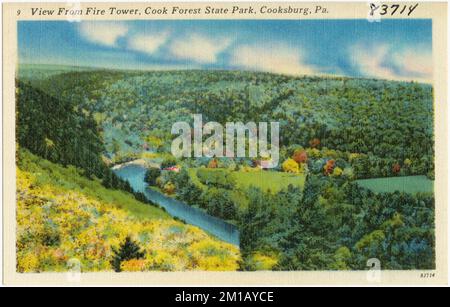 View of Fire Tower, Cook Forest State Park, Cooksburg, Pa. , Parks, Tichnor Brothers Collection, postcards of the United States Stock Photo