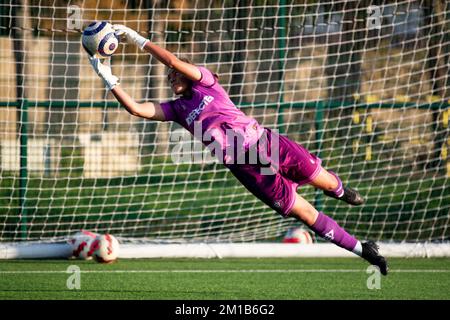 Goalkeeper Saskia Reeves-Priestley (1 Dulwich Hamlet) during practise