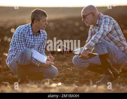 Two mature farmers crouching in field in autumn time, holding clod of earth and checking soil quality Stock Photo