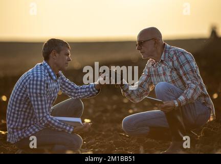 Two mature farmers crouching in field in autumn time, holding clod of earth and checking soil quality Stock Photo