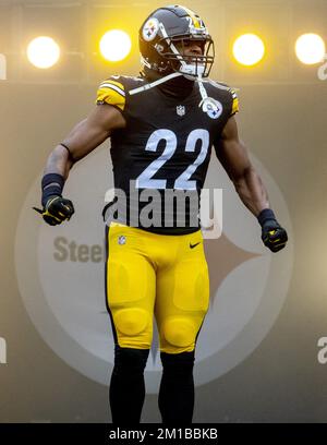 Pittsburgh Steelers running back Najee Harris (22) celebrates a touchdown  during an NFL football game, Sunday, Dec. 11, 2022, in Pittsburgh, PA. (AP  Photo/Matt Durisko Stock Photo - Alamy