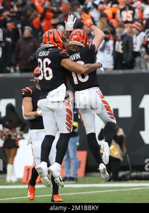 Cincinnati Bengals wide receiver Trenton Irwin (16) celebrates his  touchdown in the second half during an NFL football game against the  Cleveland Browns, Sunday, Dec. 11, 2022, in Cincinnati. (AP Photo/Emilee  Chinn