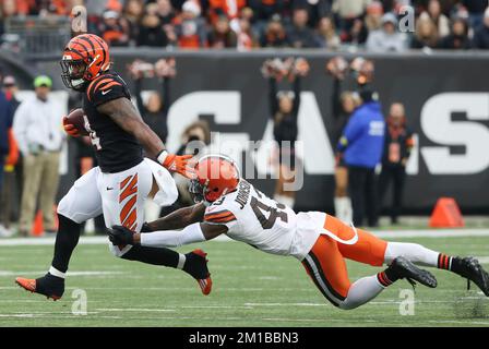 Cincinnati Bengals' Samaje Perine (34) runs past Cleveland Browns' John  Johnson III (43) during the second half of an NFL football game, Sunday,  Dec. 11, 2022, in Cincinnati. (AP Photo/Aaron Doster Stock Photo - Alamy