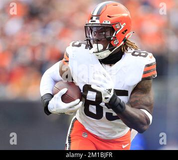 Denzel ward browns 2022 hi-res stock photography and images - Alamy