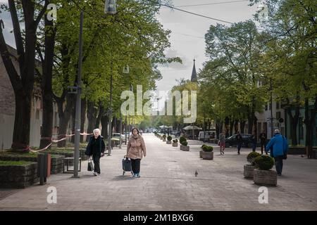 Picture of a group of two senior persons in Indjija, Serbia, carrying bags of groceries, heavy, containing mainly food, on their way back from the sup Stock Photo