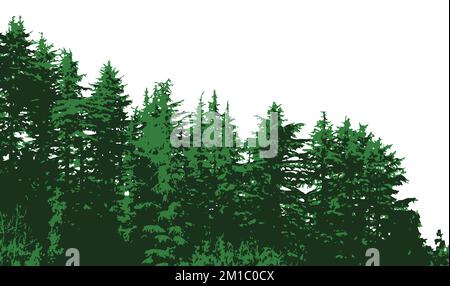 Green wood woodland forest isolated on white background vestor illustration Stock Vector