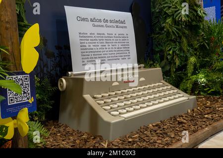 giant typewriter on wood shavings, vegetation in the background mexico Stock Photo
