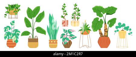 House potted plant, trendy decorative cartoon set. Exotic houseplants flowerpot for interior. Botanical house indoor blooming plants in pot, flower, potted ceramic. Urban jungle decor flat vector Stock Vector