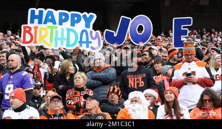 Cincinnati Bengals' Samaje Perine (34) runs past Cleveland Browns' John  Johnson III (43) during the second half of an NFL football game, Sunday,  Dec. 11, 2022, in Cincinnati. (AP Photo/Aaron Doster Stock Photo - Alamy