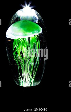 Dynasty Gallery since 1951, Glow in the dark Jellyfish in glass! Handcrafted from multiple layers of molten glass. Stock Photo