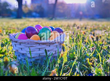 Easter eggs in wicker basket on green meadow Stock Photo