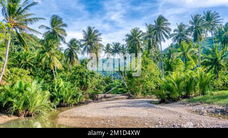 Wide angle view of a dry riverbed surrounded by lush tropical nature with a mountainous background in a rural area on Mindoro I in the Philippines. Stock Photo