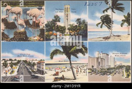 Miami Beach Florida,Flamingo Park,Valentine's Day Carnival,popcorn,popper, machine,Hispanic Black,boy boys,male kid kids child children girl  girls,fema Stock Photo - Alamy