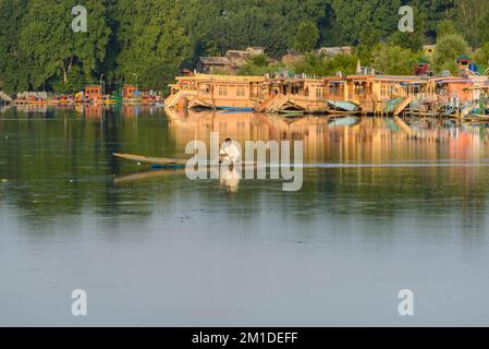 Shikaras are the common transport for people and goods on Dal Lake. Houseboats for rent are seen in the background Stock Photo