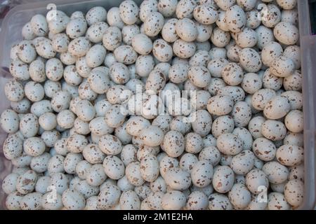 A pile of black spotted quail eggs on display Stock Photo