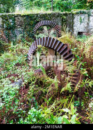 Water wheel mechanical gears and cogs at Carmears pit Luxulyan valley, Cornwall Stock Photo