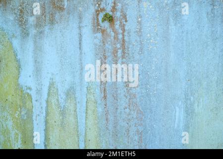 old wooden plank wall with old faded peeling green, yellow paint Stock Photo