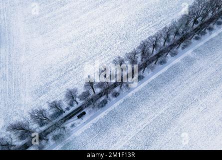 Mecklenburg-Western Pomerania, Zülow: 12 December 2022, The fields are covered with a thin layer of snow through which a paved linden avenue runs. (Aerial photo with a drone) With permafrost, light snowfall and partial sunshine, the winter weather in northern Germany shows its beautiful side. Photo: Jens Büttner/dpa Credit: dpa picture alliance/Alamy Live News Stock Photo