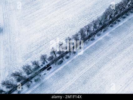 Mecklenburg-Western Pomerania, Zülow: 12 December 2022, The fields are covered with a thin layer of snow through which a paved linden avenue runs. (Aerial photo with a drone) With permafrost, light snowfall and partial sunshine, the winter weather in northern Germany shows its beautiful side. Photo: Jens Büttner/dpa Credit: dpa picture alliance/Alamy Live News Stock Photo