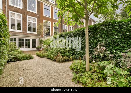 Simple small patio with small garden near wooden fence Stock Photo