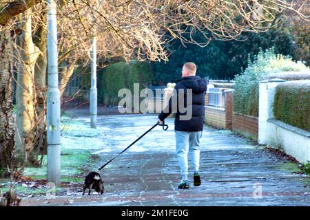 Glasgow, Scotland, UK 13th December, 2022. UK Weather: dog walker  Freezing temperatures saw a Cold night give rise to  frozen forth and clyde canal and freat western road  in knightswood in the north of the city.  Credit Gerard Ferry/Alamy Live News Stock Photo