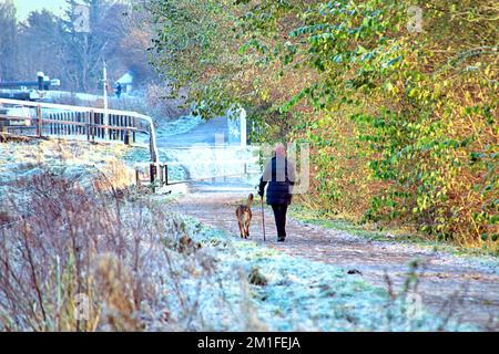 Glasgow, Scotland, UK 13th December, 2022. UK Weather: dog walker  Freezing temperatures saw a Cold night give rise to  frozen forth and clyde canal and freat western road  in knightswood in the north of the city.  Credit Gerard Ferry/Alamy Live News Stock Photo