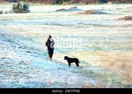 Glasgow, Scotland, UK 13th December, 2022. UK Weather: dog walker  Freezing temperatures saw a Cold night give rise to  frozen forth and clyde canal and freat western road  in knightswood in the north of the city.  Credit Gerard Ferry/Alamy Live News Stock Photo