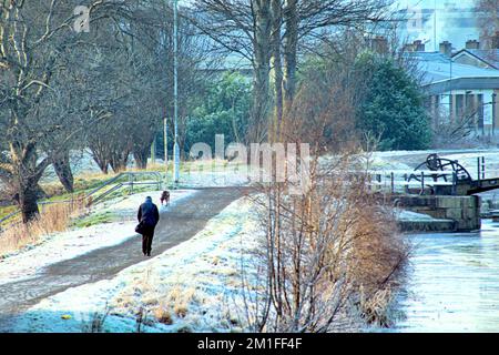 Glasgow, Scotland, UK 13th December, 2022. UK Weather: dog walker  Freezing temperatures saw a Cold night give rise to  frozen forth and clyde canal and freat western road  in knightswood in the north of the city.  Credit Gerard Ferry/Alamy Live News Stock Photo