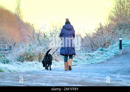 Glasgow, Scotland, UK 13th December, 2022. UK Weather: dog walker  Freezing temperatures saw a Cold night give rise to  frozen forth and clyde canal and freat western road  in knightswood in the north of the city.  Credit Gerard Ferry/Alamy Live News Stock Photo