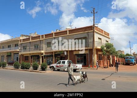 Boy crossing the street in Asmara city centre with his livestock Stock Photo