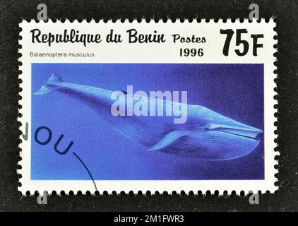 Cancelled postage stamp printed by Benin, that shows Blue Whale (Balaenoptera musculus), circa 1996. Stock Photo