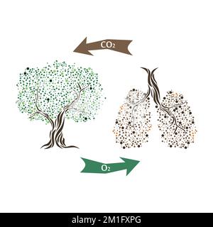 Tree branches like the lungs. One lung without leaves, the other with leaves. Stock Vector