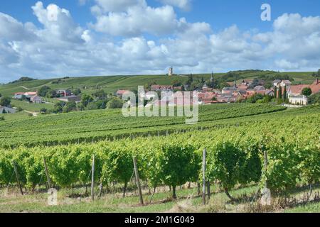Wine Village of Vendersheim in Rhinehessen wine region,Germany Stock Photo