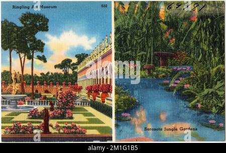 Ringling Art Museum, Sarasota Jungle Gardens , Galleries & museums, Tichnor Brothers Collection, postcards of the United States Stock Photo