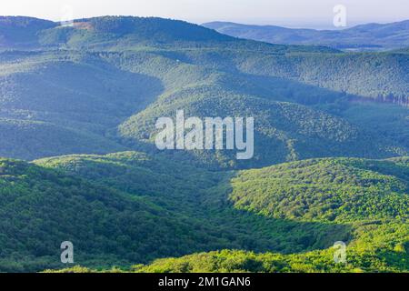 Solosnica (Breitenbrunn): forest, mountains Male Karpaty (Little Carpathians) in Male Karpaty (Little Carpathians), , Slovakia Stock Photo