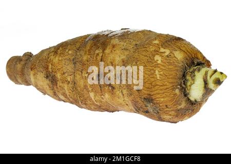 chervil root with isolated on white background Stock Photo