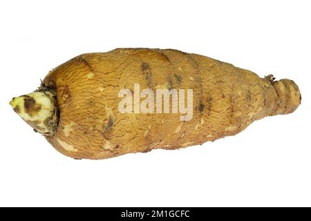 chervil root with isolated on white background Stock Photo