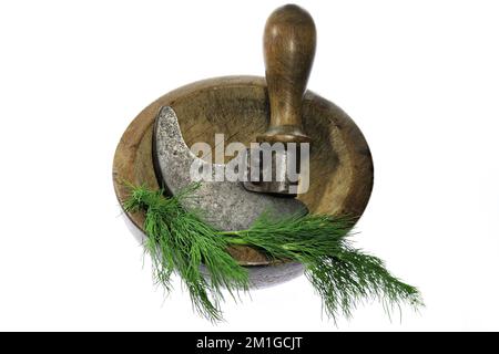vintage herb chopper with fresh dill isolated on white background Stock Photo